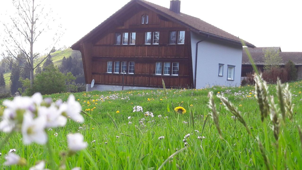 Ferienstudio Familie Faessler-Doerig أبنزل المظهر الخارجي الصورة